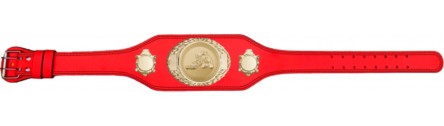 JIU JITSU CHAMPIONSHIP BELT-BUD295/G/JJG-4 COLOURS